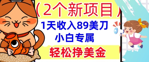 2个新项目,轻松挣美金, 1天收入89美刀,小白专属,干货分享-侠客资源站