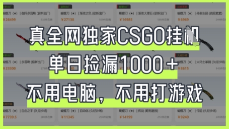 真全网独家CSGO挂G,单日捡漏1k+【揭秘】-侠客资源站